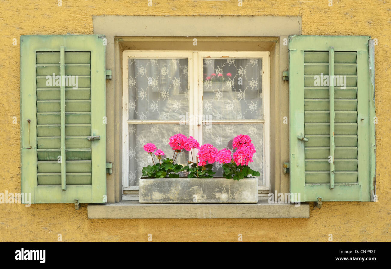 Fermer fenêtre avec volets à l'ancienne maison en été. Banque D'Images