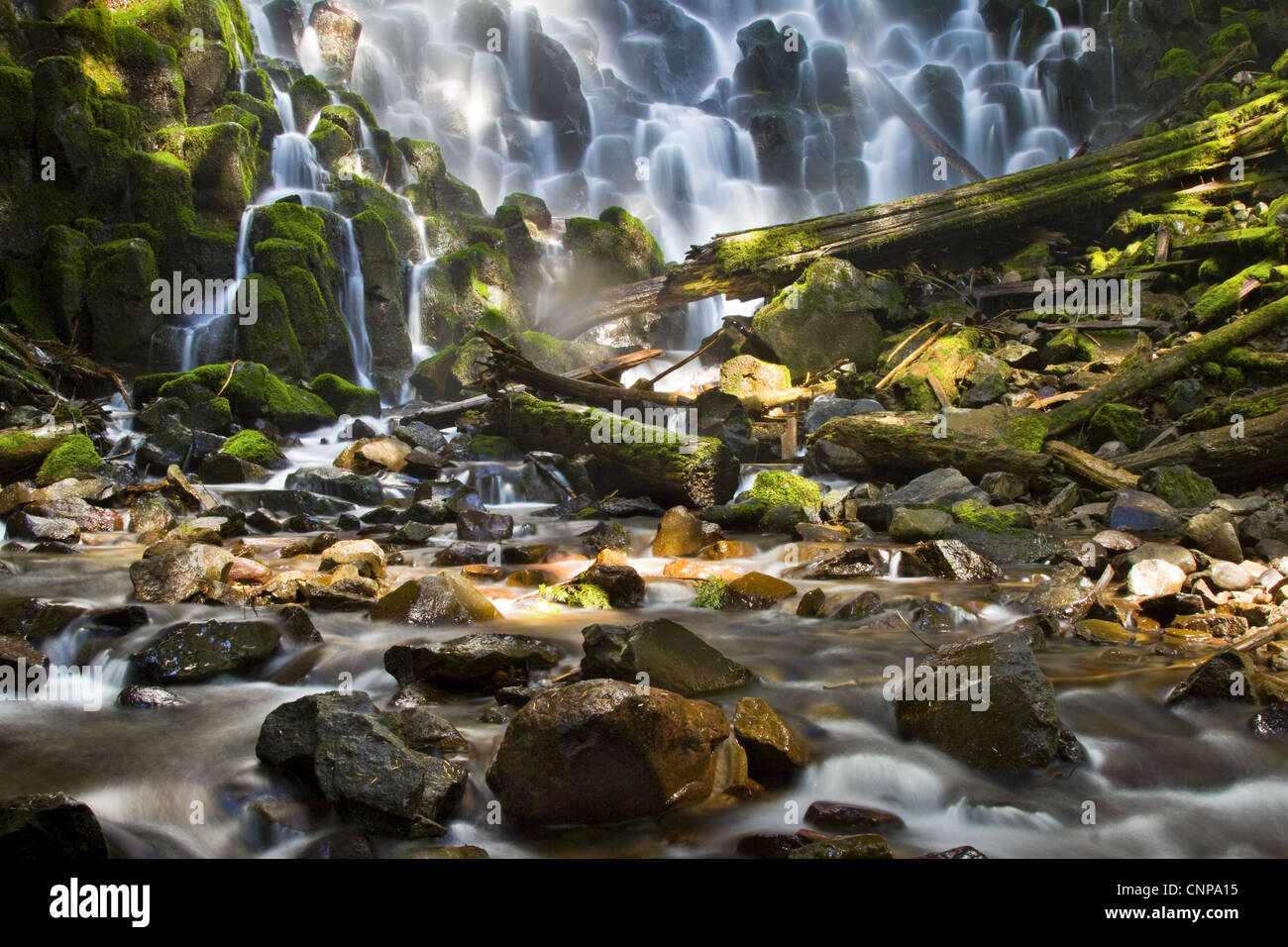 Ramona Falls situé dans la région de Oregon's Mt Hood National Forest Banque D'Images