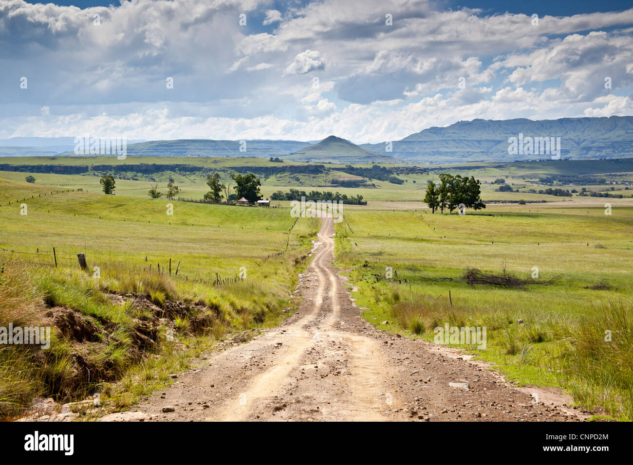 Paysages, contreforts des Drakensberg du Sud, Eastern Cape, Afrique du Sud Banque D'Images