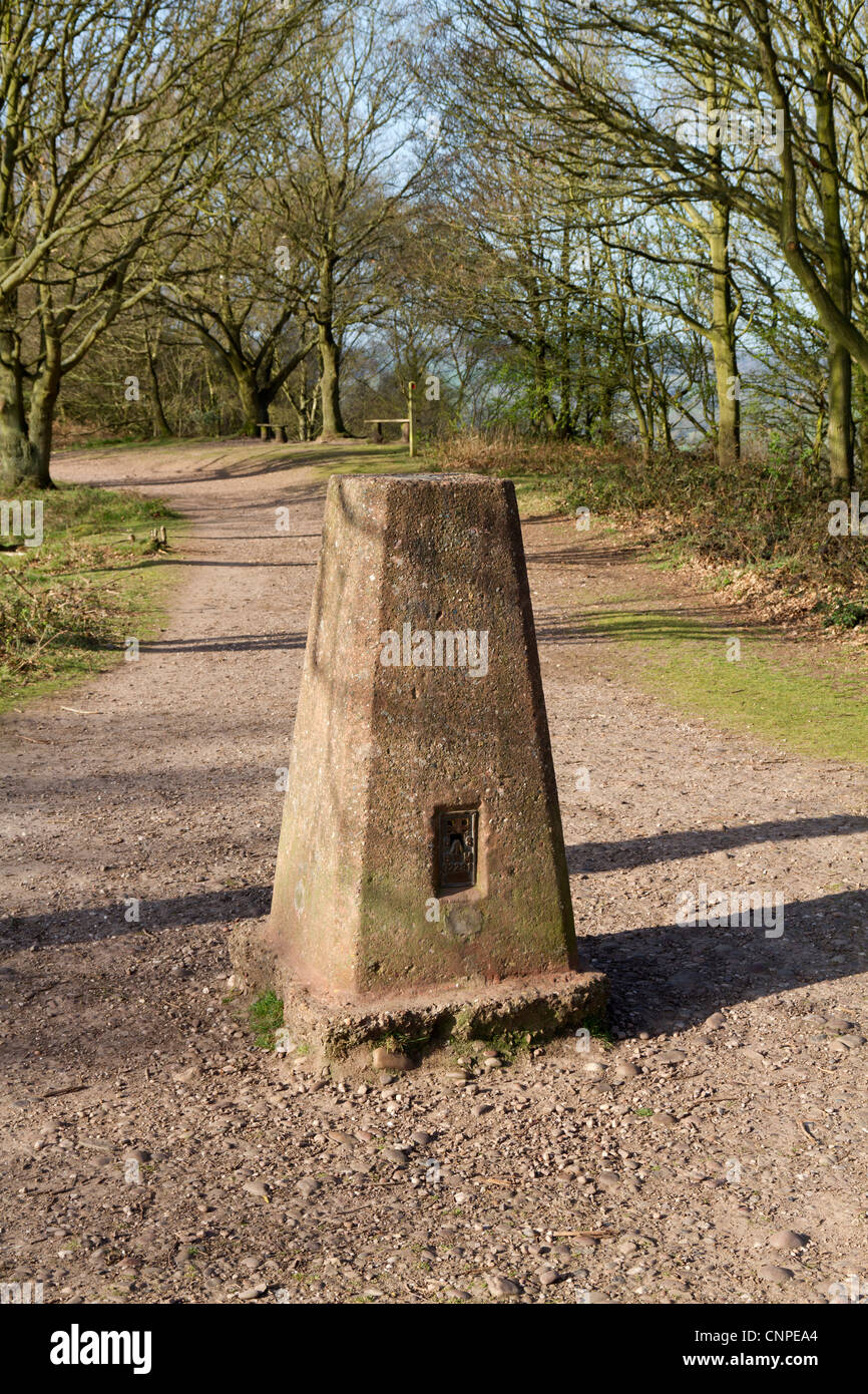 Vieux trig point sur Kinver Edge Banque D'Images