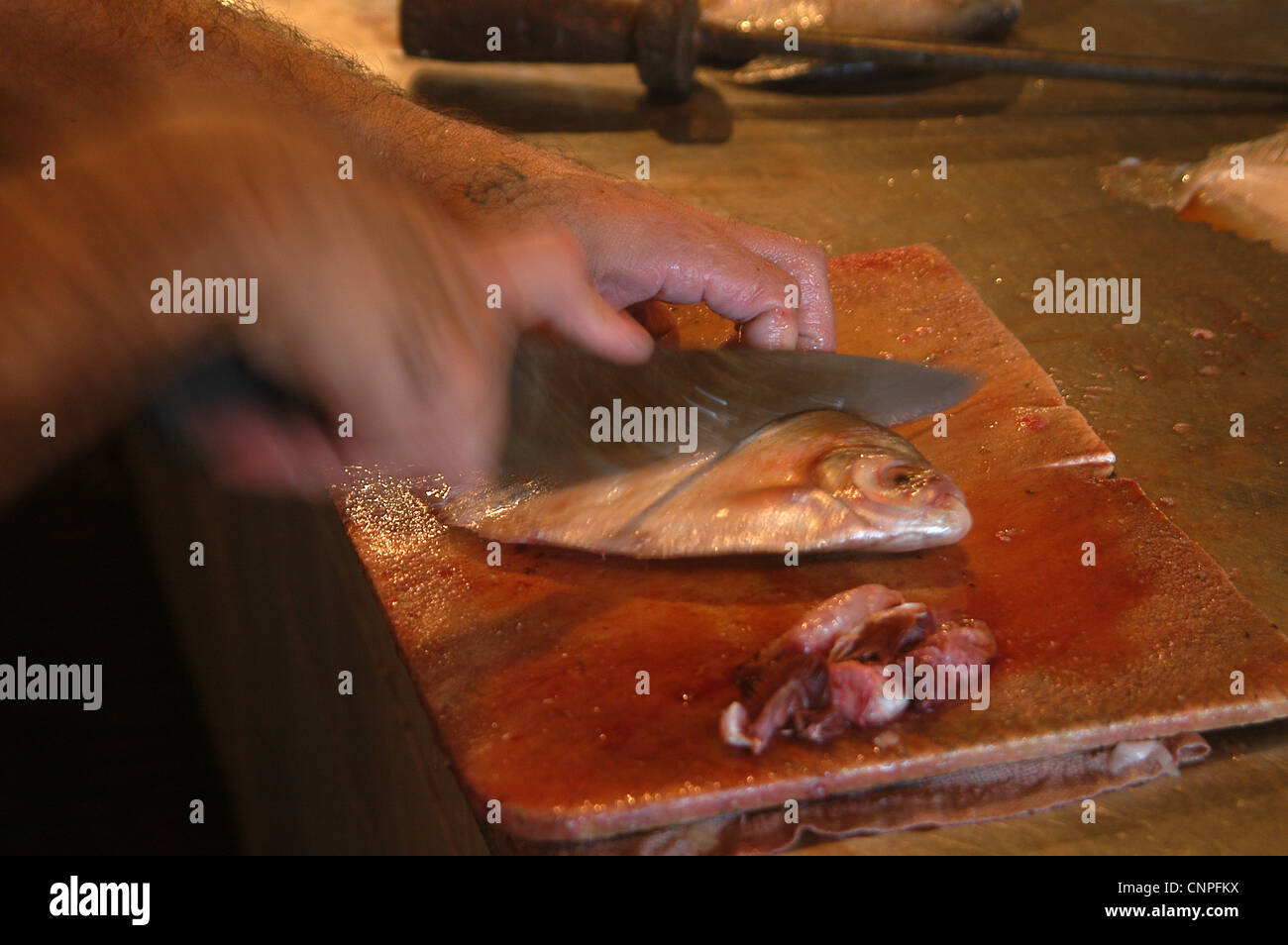 Nettoyage du poisson au marché aux poissons de Manaus. Banque D'Images