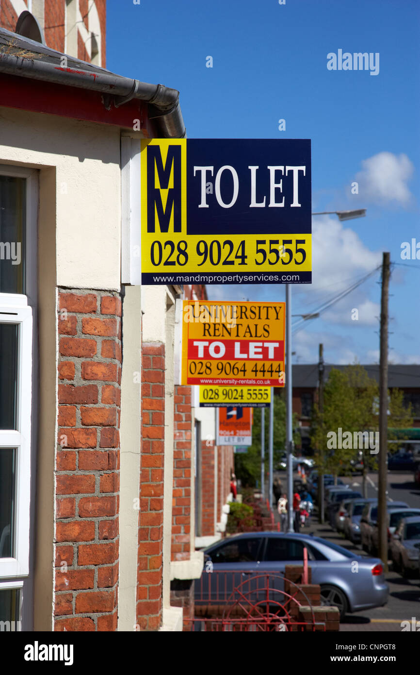 Rangée de maisons avec des signes de laisser l'étudiant dans un quartier résidentiel de Belfast Irlande du Nord UK Banque D'Images