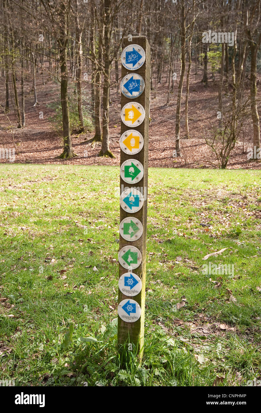 Des flèches indiquant les randonneurs et marcheurs il y a les instructions détaillées dans le Queen Elizabeth Country Park, HampshireEngland, UK Banque D'Images