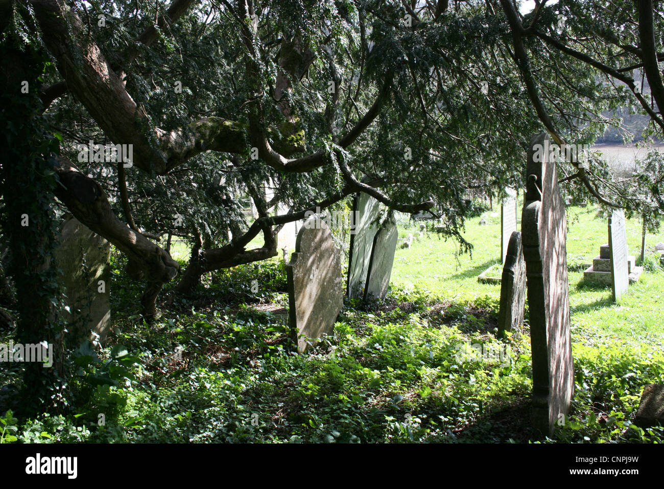 Des pierres tombales du cimetière de Banque D'Images