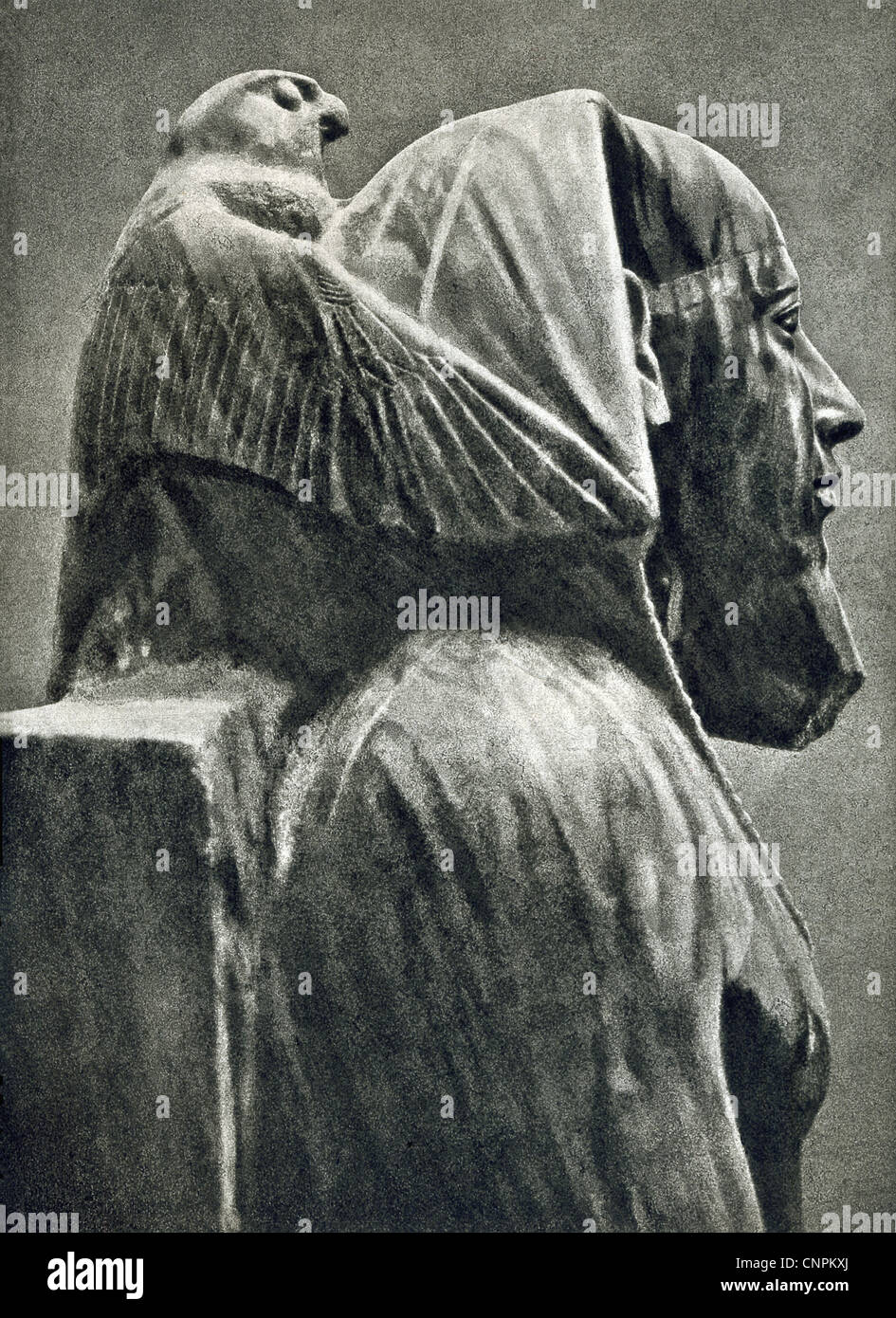 La tête d'une statue de diorite du roi égyptien Khafré, de son temple funéraire à Gizeh, avec Horus comme un pèlerin. Banque D'Images