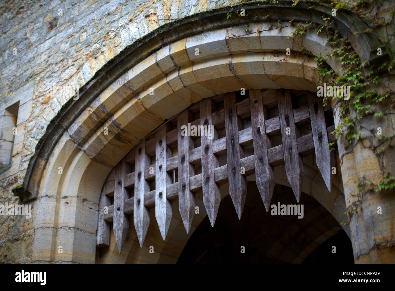  Le Ch teau De Hever Castle mur De Ch teau Ivy Herse Photo Stock Alamy