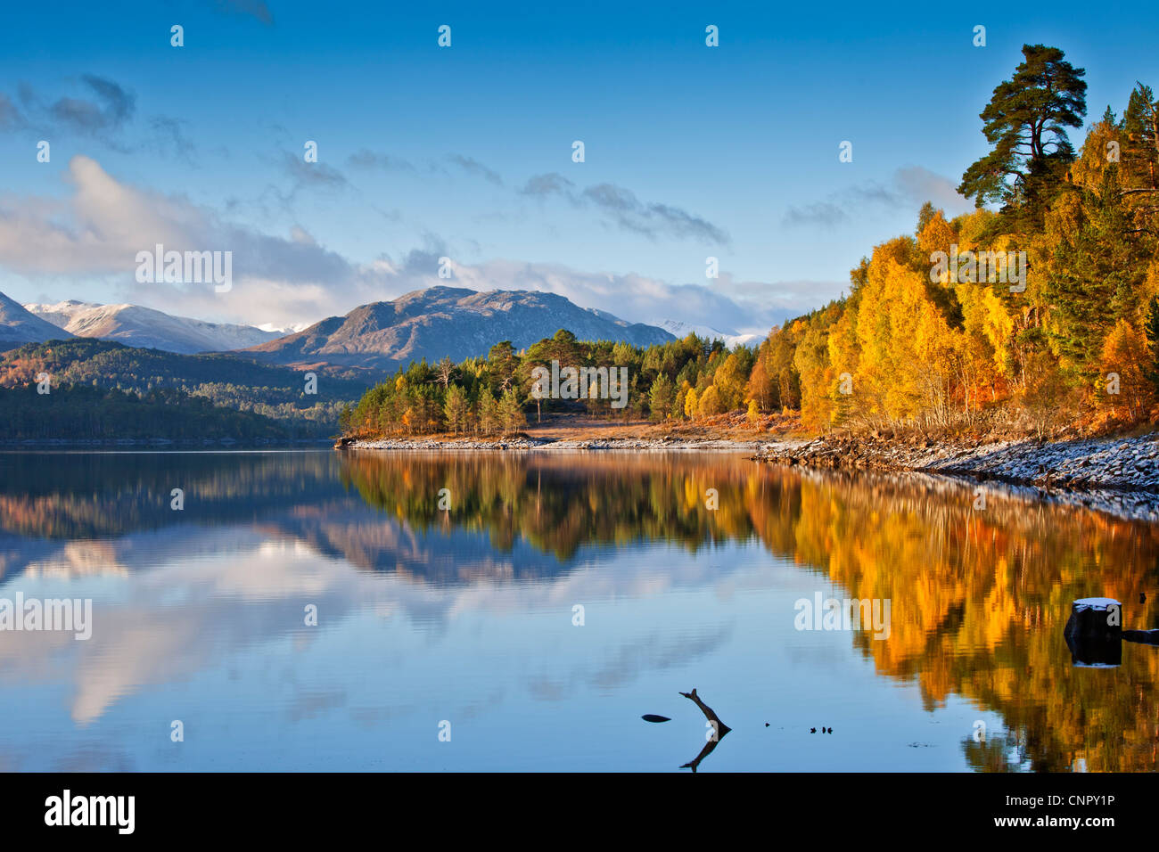 L'automne à Glen Affric Banque D'Images