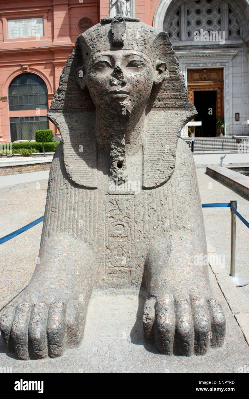 Sphinx statue devant le musée d'histoire de l'Egypte Le Caire Banque D'Images
