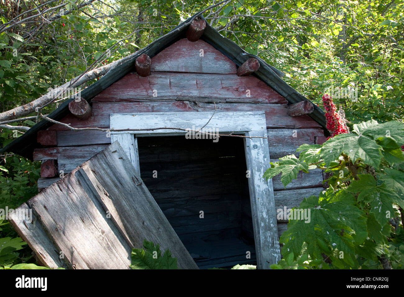 Un vieux outhouse se trouve dans la ville de désert site Susitna, Alaska, USA Banque D'Images