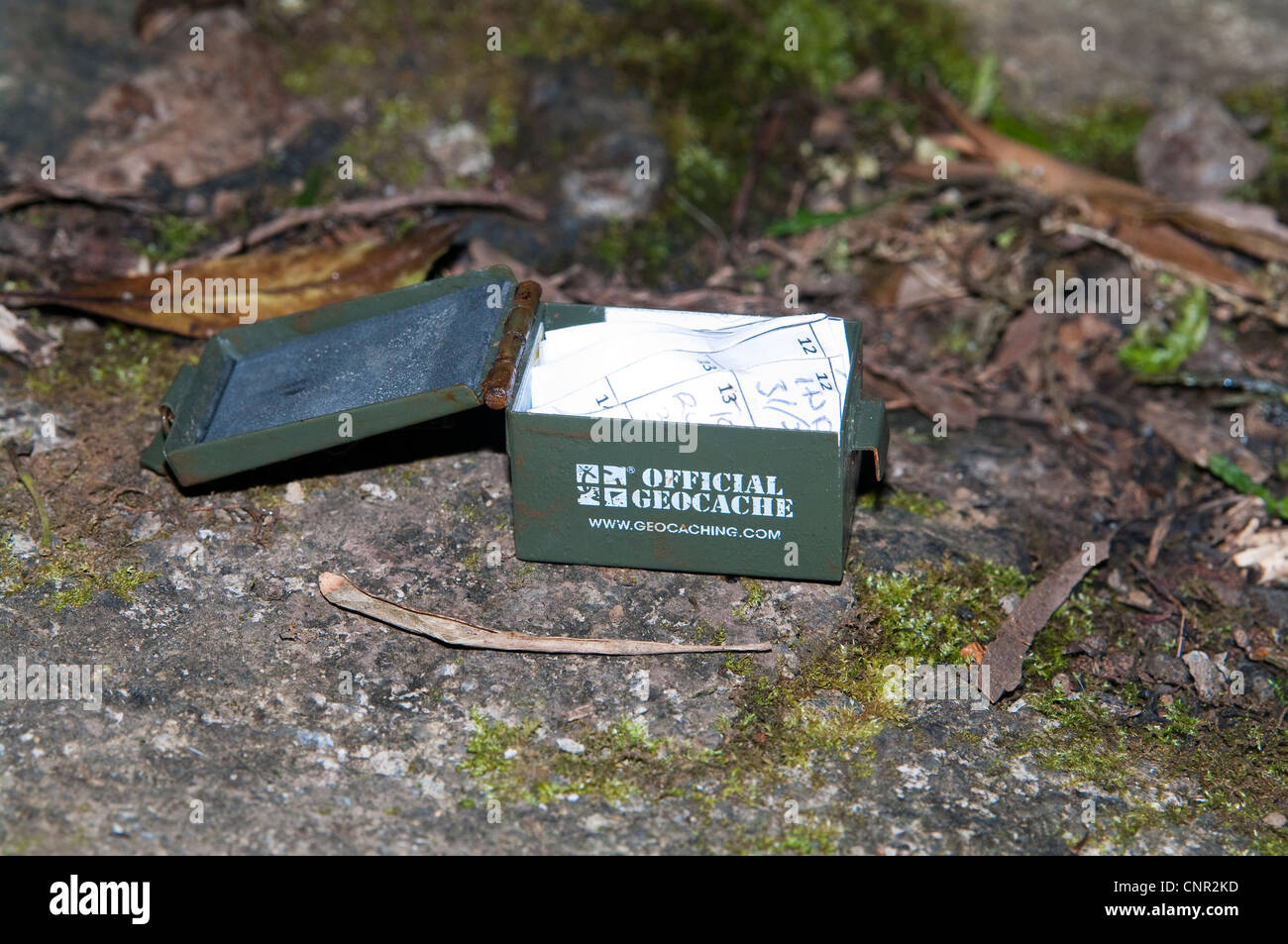 Conteneur de chasse au trésor avec journal de bord trouvé caché à l'extérieur dans les Açores, Portugal - mini conteneur de chasse au trésor boîte de munitions Banque D'Images