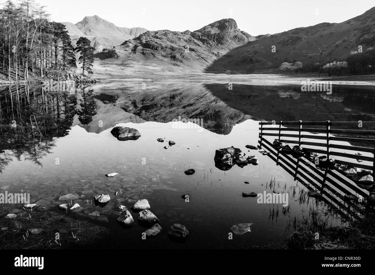 Un parfait reflet de la près de Langdale Pikes et Côté Pike dans Blea Tarn, peu dans le Langdale Parc National de Lake District Banque D'Images