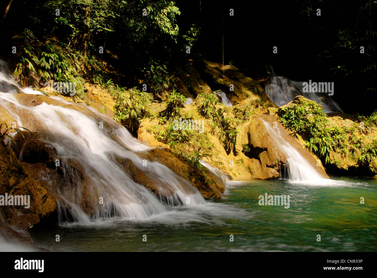 Las Escobas cascades à Izabal, Guatemala Banque D'Images