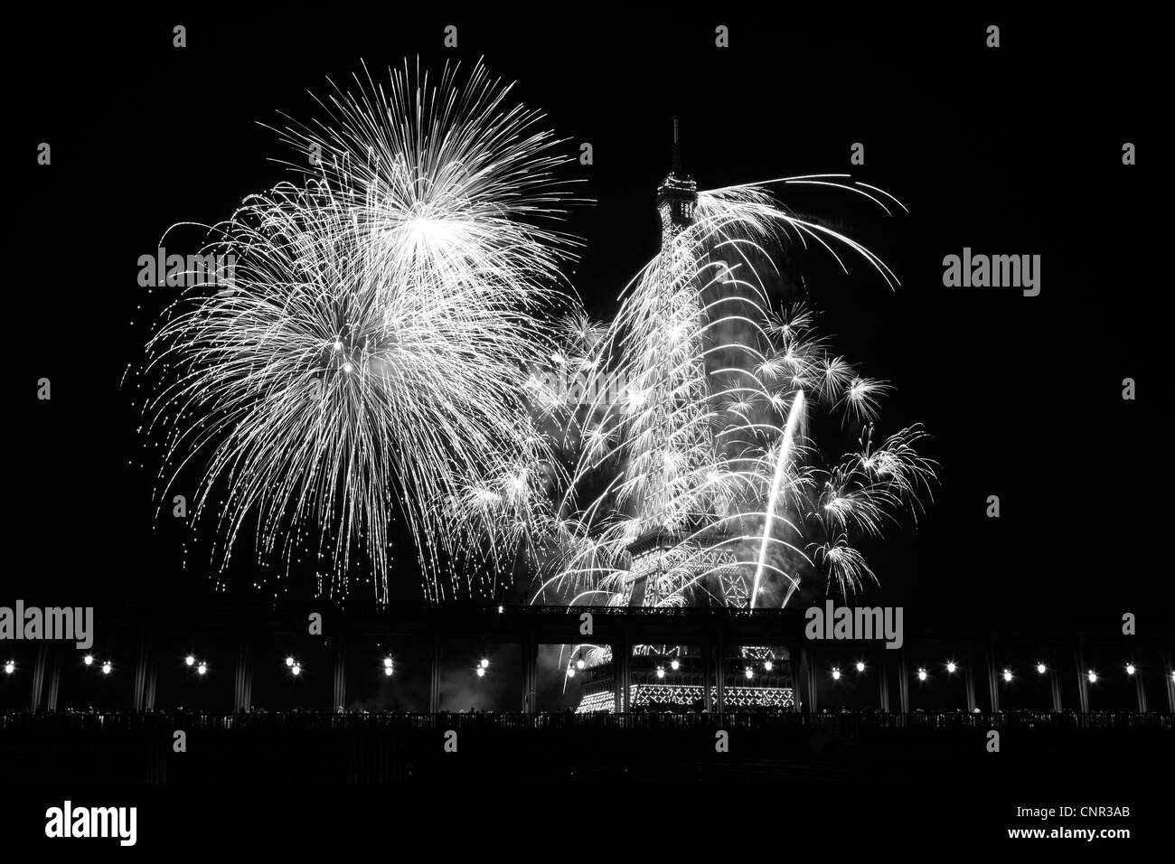 Les Parisiens et les touristes regardant Bastile artifice jour autour de la Tour Eiffel avec au premier plan le pont de Passy à Paris, France. Banque D'Images