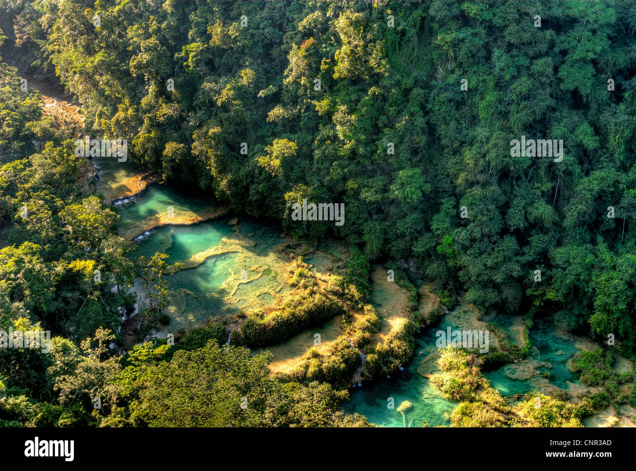 Les cascades et bassins de travertin Semuc Champey sont parmi les plus spectaculaires du Guatemala merveilles naturelles. Banque D'Images
