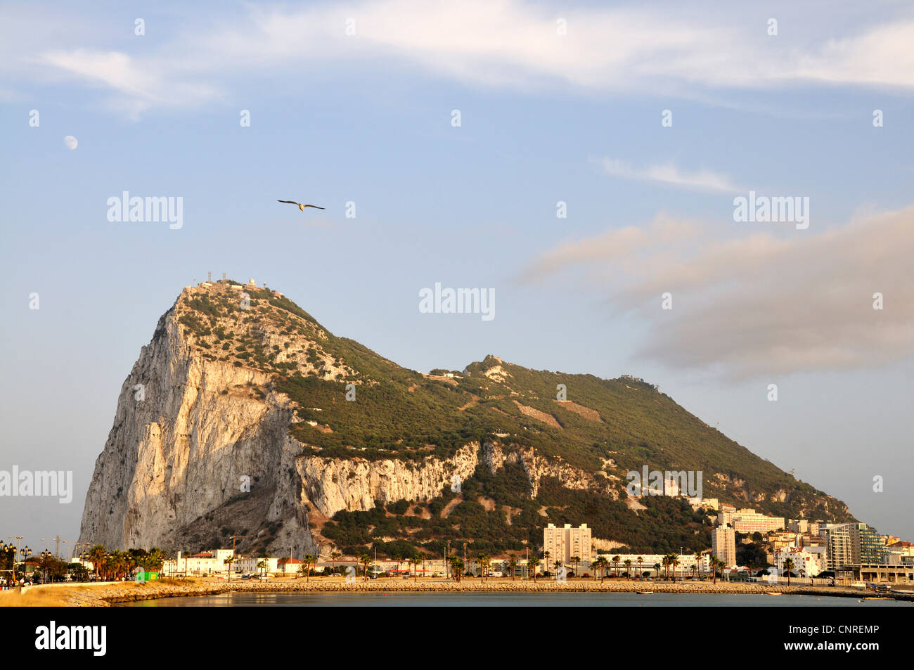 Rocher de Gibraltar dans la lumière du soir, l'Espagne, l'Andalousie Banque D'Images