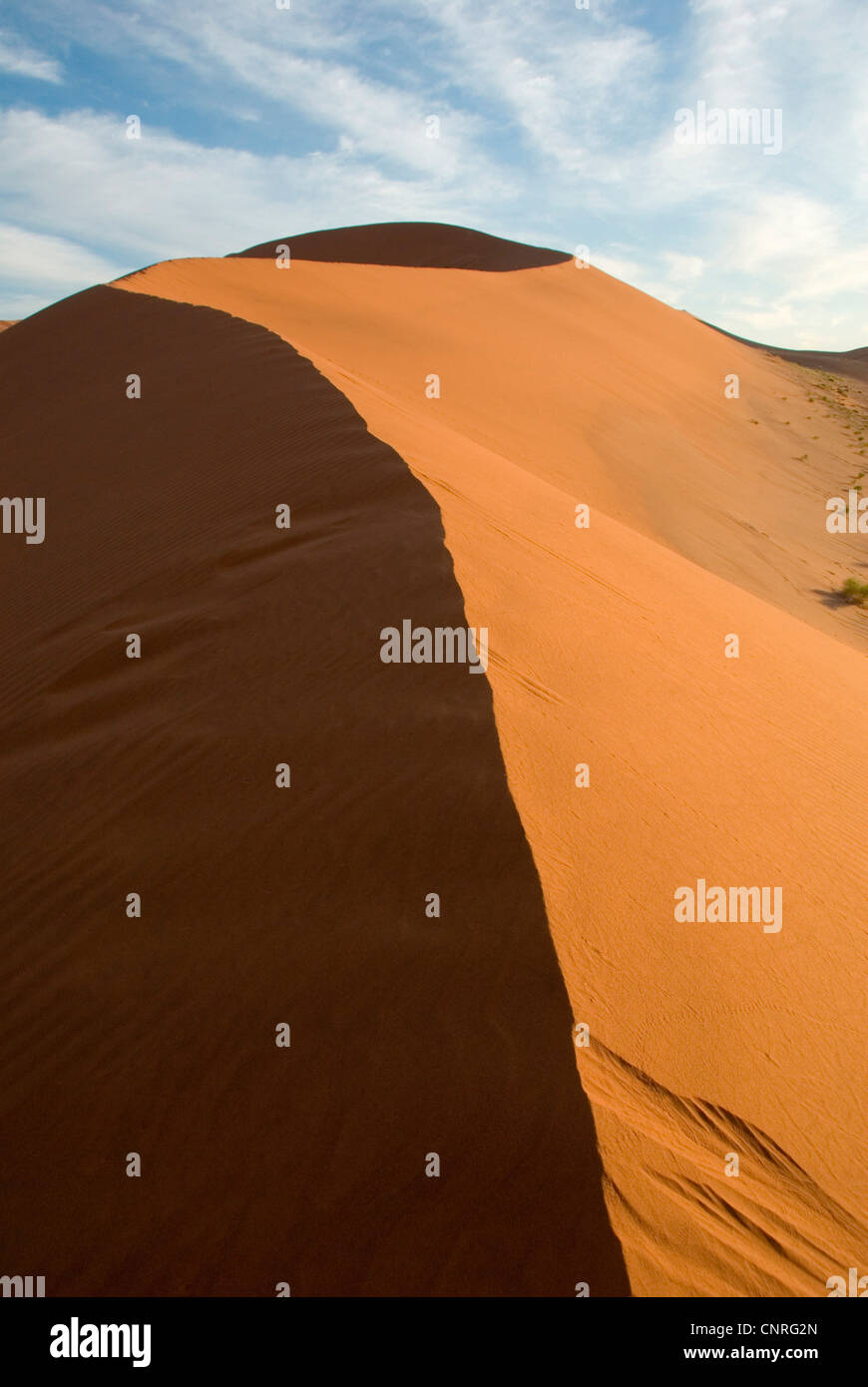 Désert du Namib, les dunes de Sossusvlei, Namibie Banque D'Images