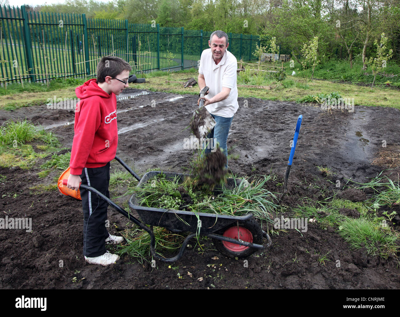 Martin & Eoin Reid, père & fils les jardiniers cultiver jardin communautaire, aqueducs, Belfast, en Irlande du Nord Banque D'Images