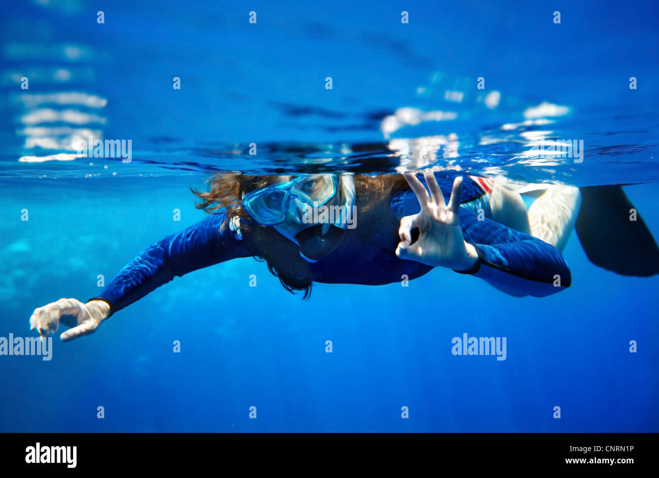 Scuba Diver jeune femme en bleu de l'eau. Banque D'Images