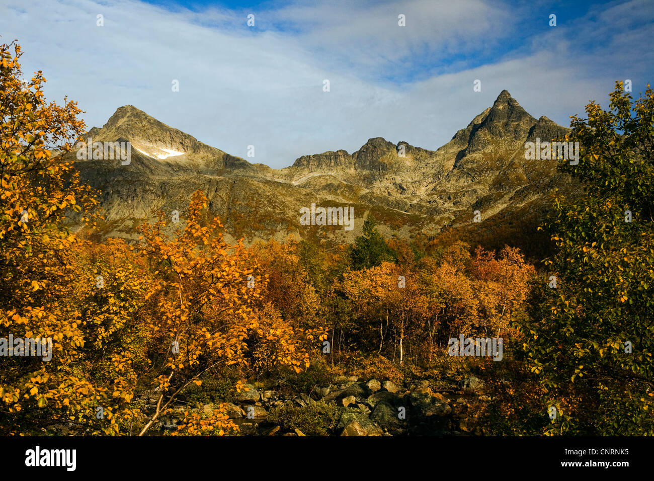 En automne, la Norvège La Norvège, Troms, Kvaloeya Banque D'Images En automne, la Norvège La Norvège, Troms, Kvaloeya Banque D'Images