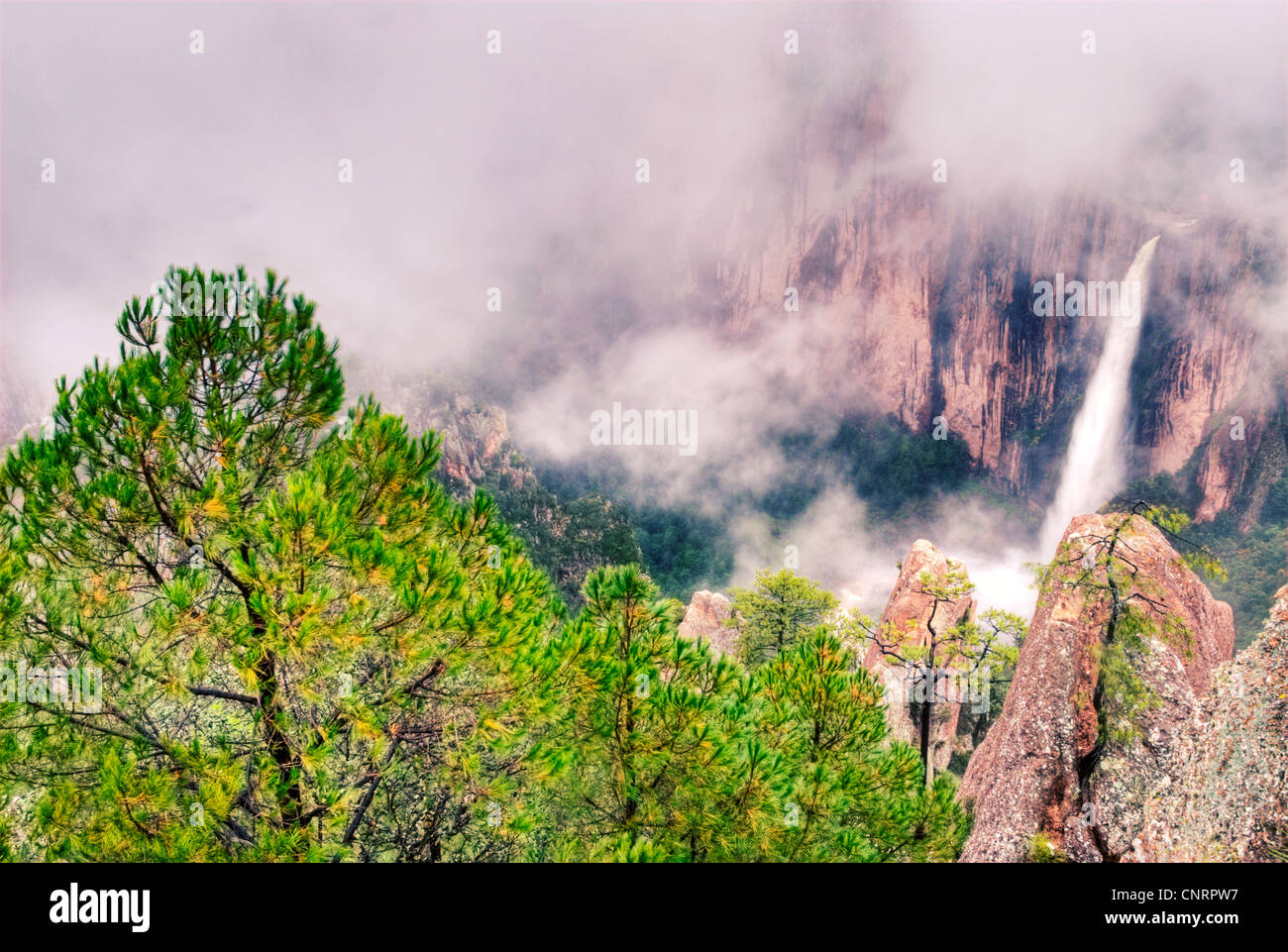 Basaseachi Falls à Chihuahua, au Mexique. Banque D'Images