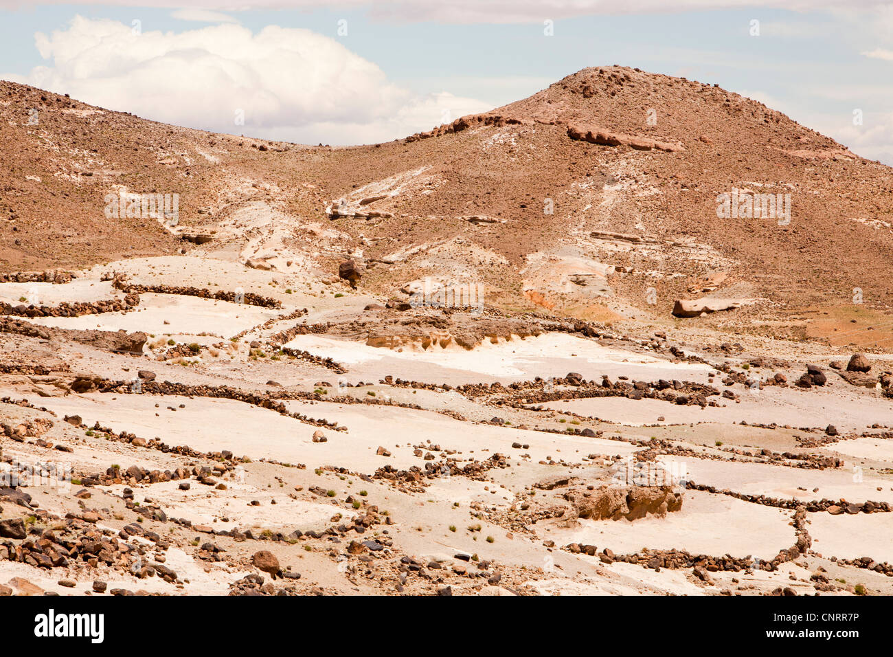 Terrasses sur le terrain au-dessus d'un village berbère dans l'Anti Atlas montagnes du Maroc, l'Afrique du Nord. Banque D'Images