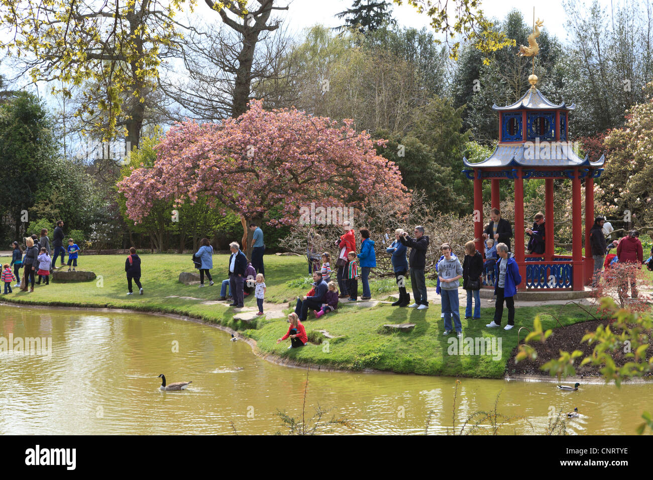 Les familles bénéficient d'une journée dans les jardins japonais à Cliveden Banque D'Images