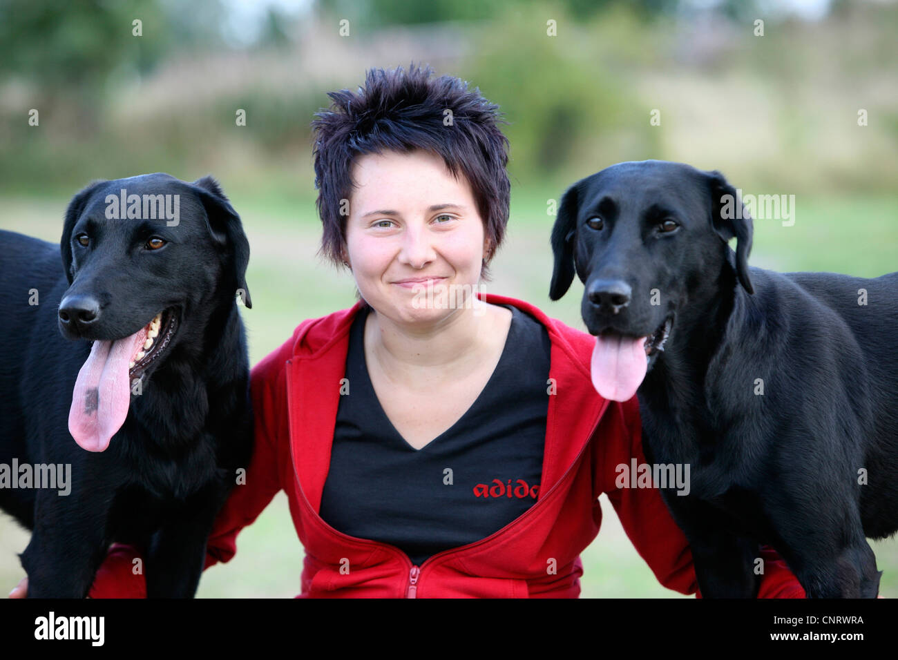 Labrador Retriever (Canis lupus f. familiaris), un homme et un chien-elle avec leur maîtresse Banque D'Images