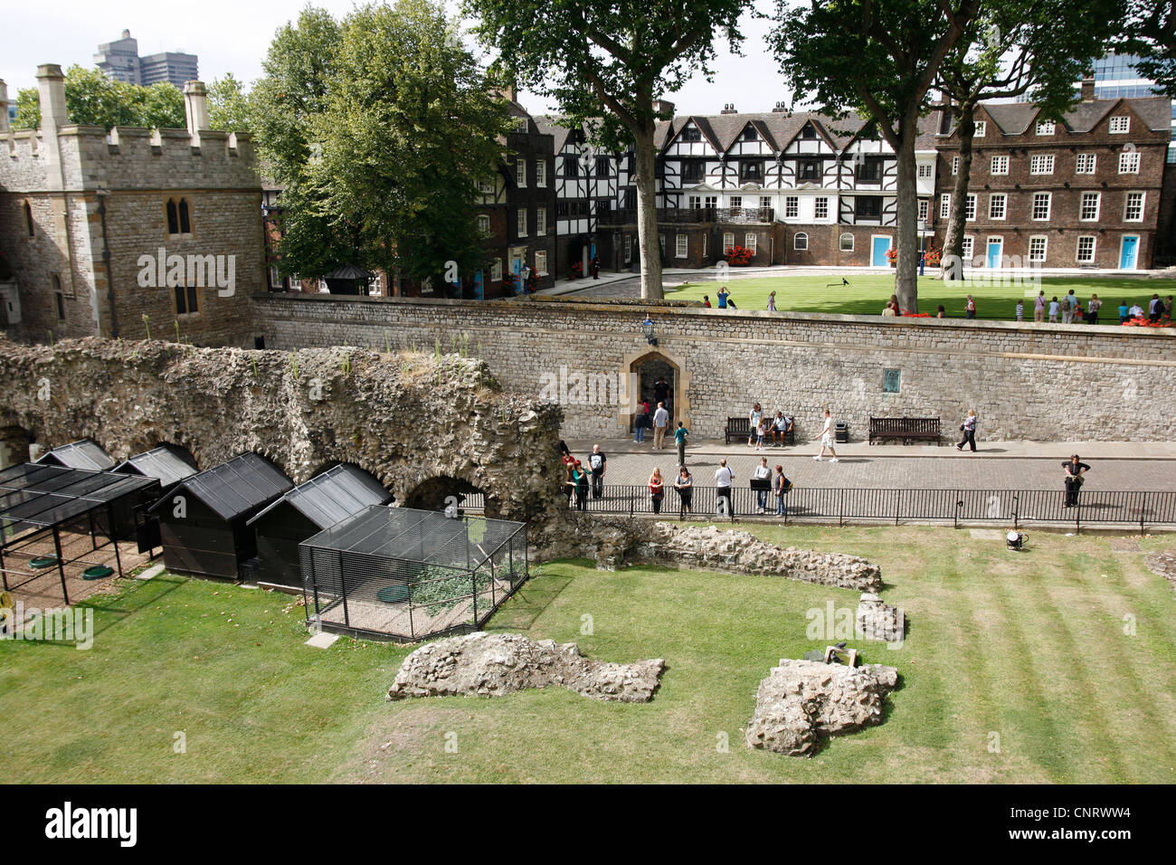 Tour de Londres - Des stylos pour les corbeaux parmi certains des ruines de Norman Banque D'Images