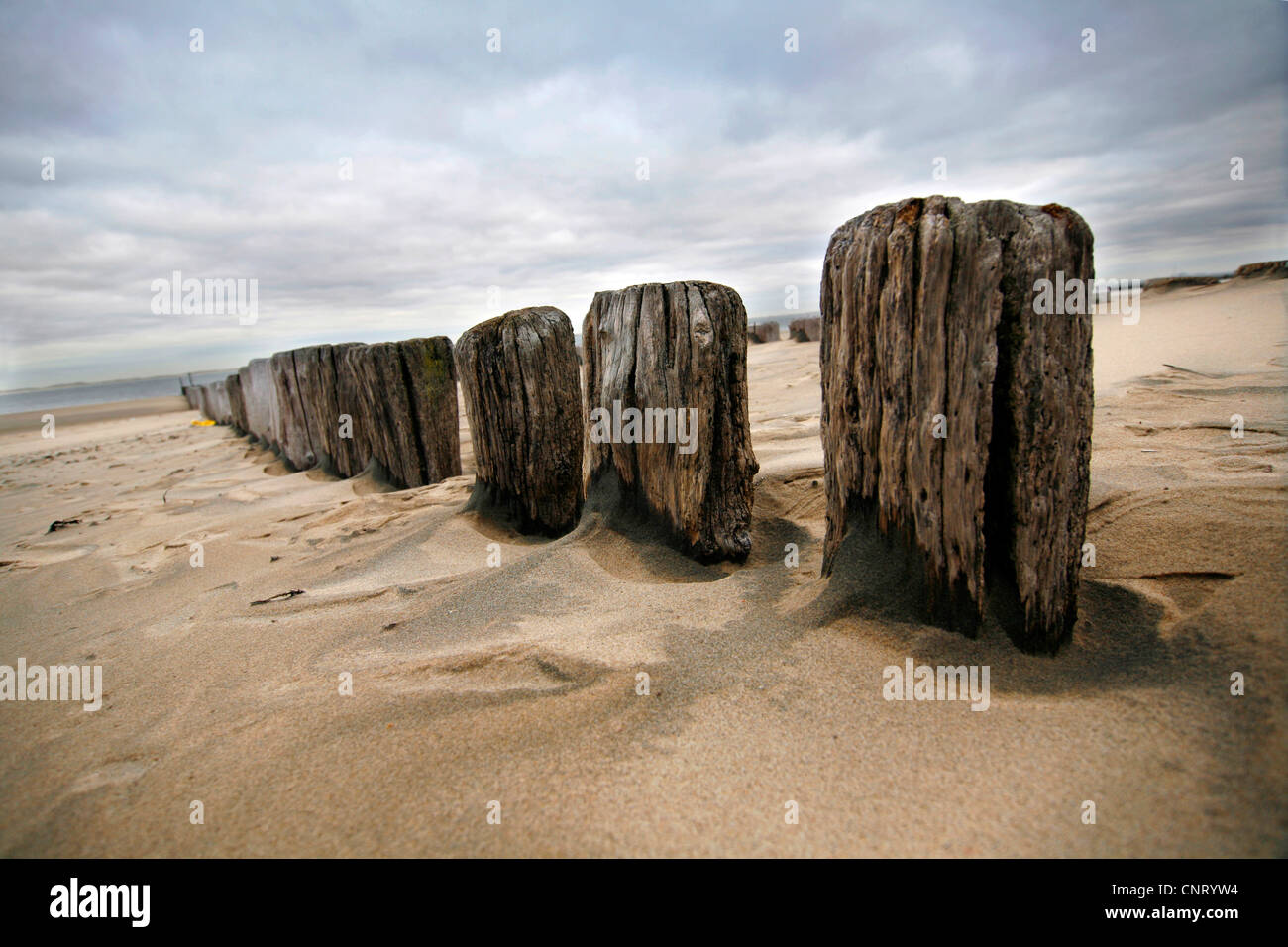 Poteaux de bois d'épi sur la plage, Pays-Bas, Zeeland, Breskens, Sluis Banque D'Images