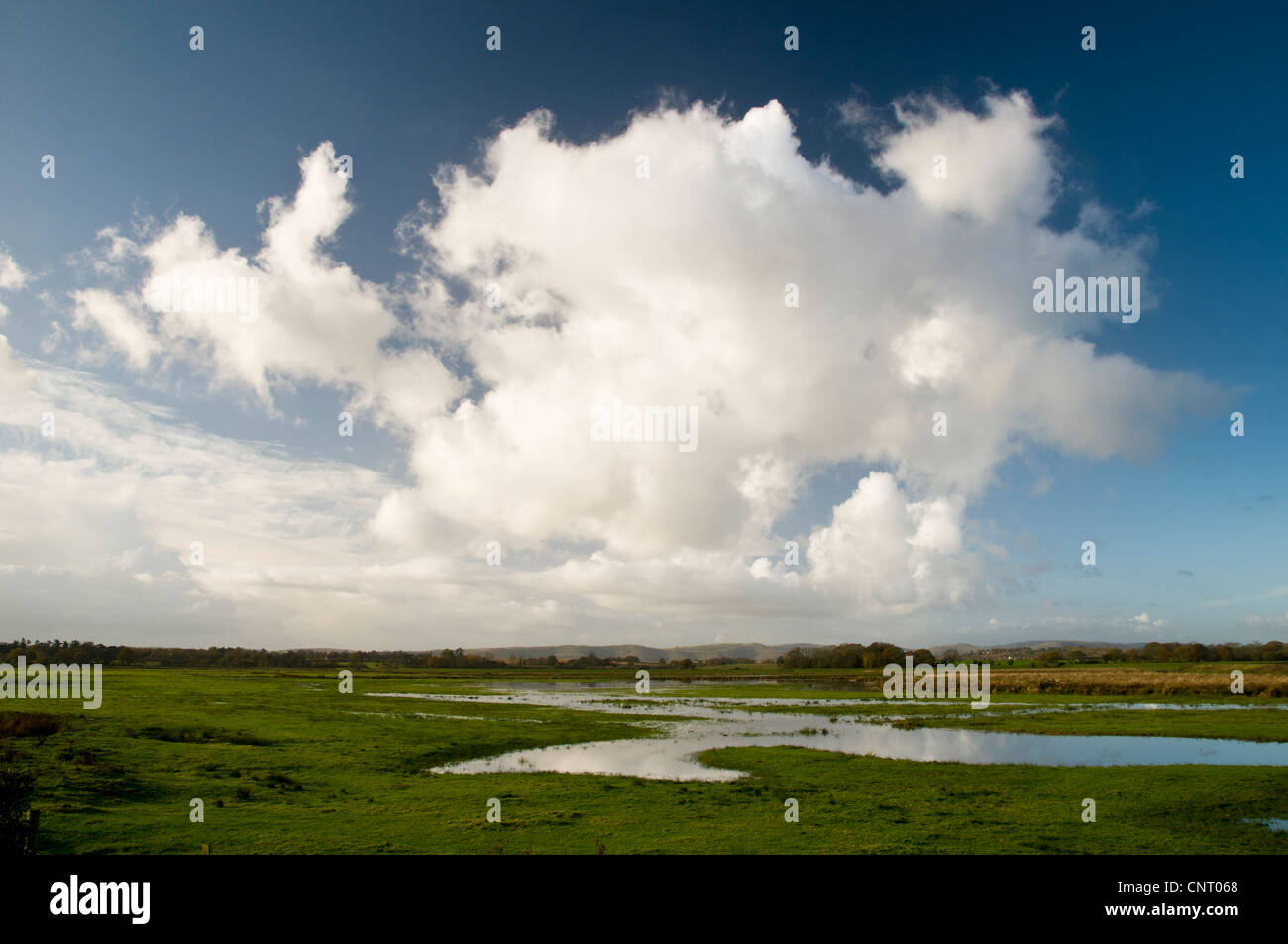 Les formations de nuages Cumulonimbus au-dessus des habitats de terres humides à Pulborough Brooks RSPB, West Sussex. Novembre. Banque D'Images