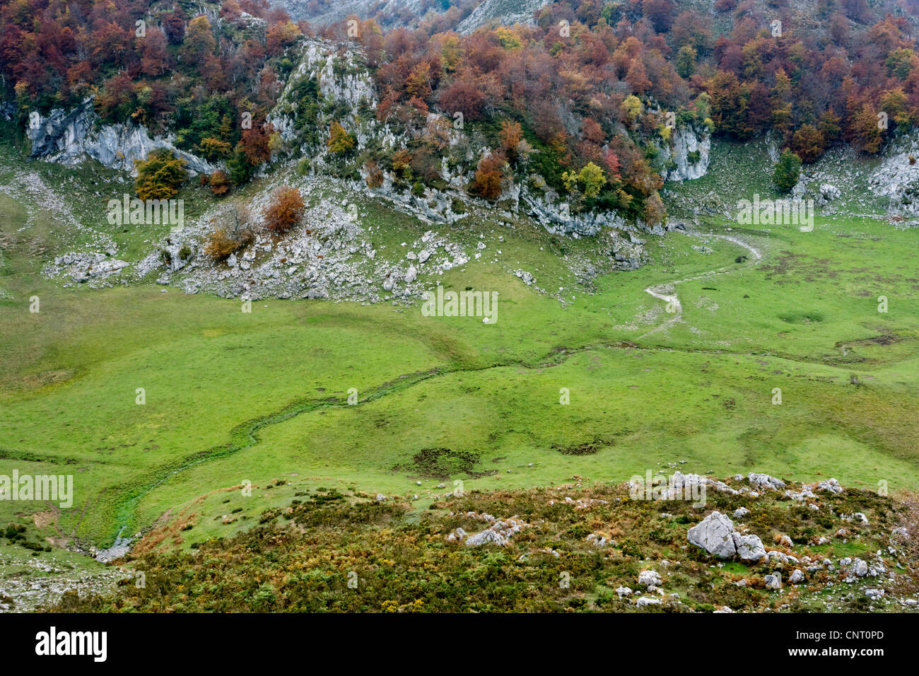 Vallée à l'automne, les Lacs de Covadonga, l'Espagne, les Asturies, parc national Picos de Europa Banque D'Images