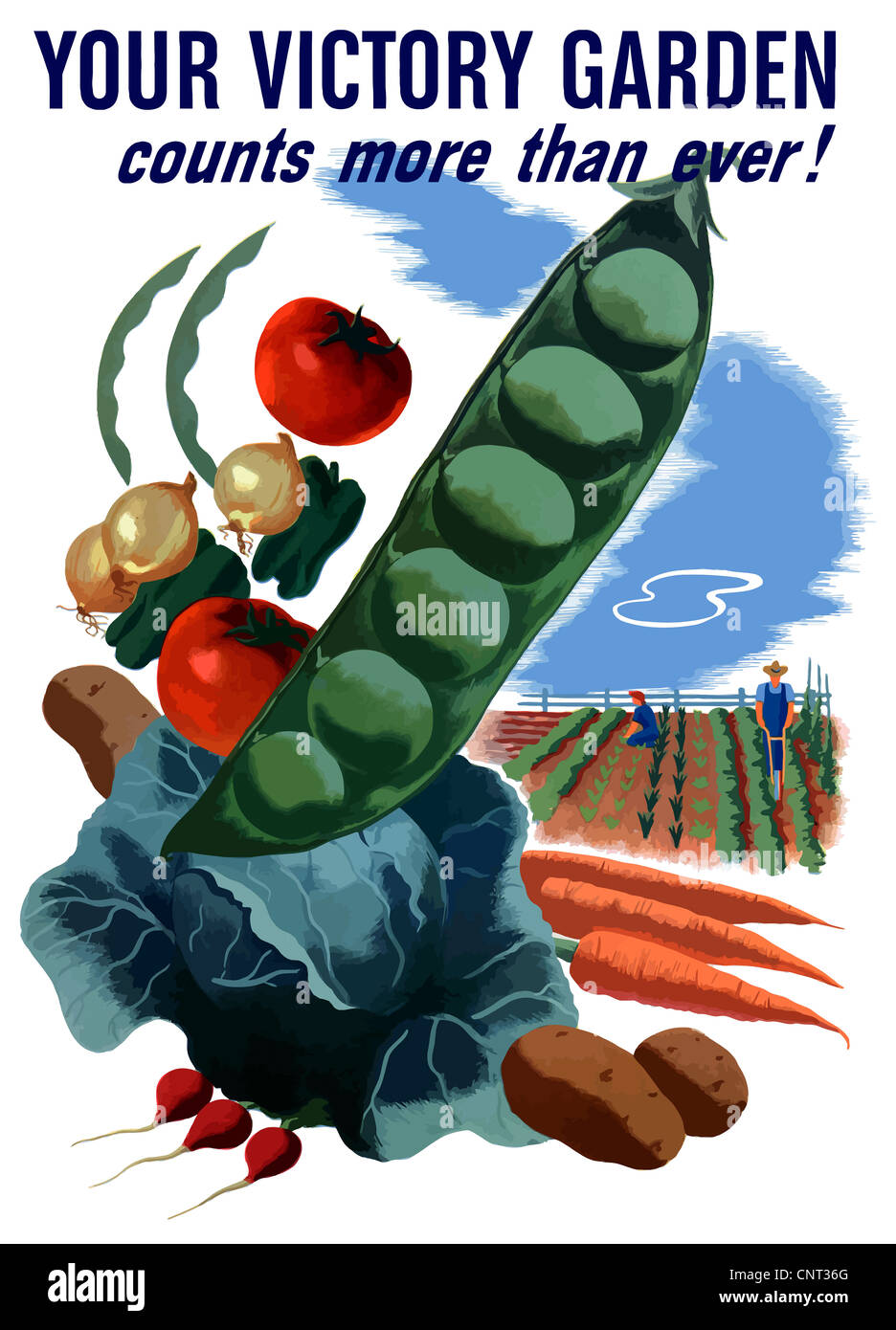 Vintage poster la seconde guerre mondiale de pois géant, choux, carottes, oignons et autres légumes. Banque D'Images