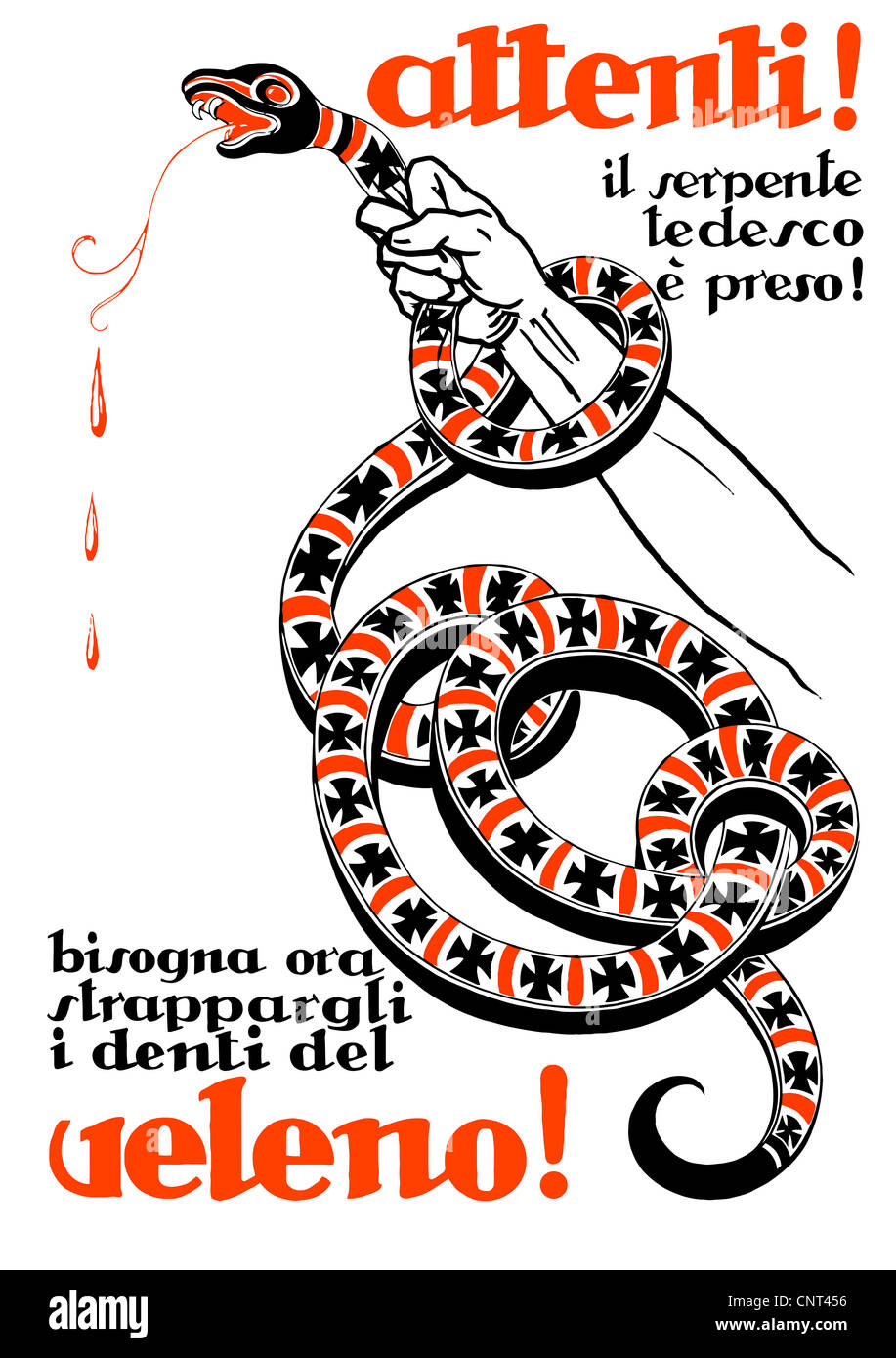 Vintage Italian World War One affiche d'une part, d'étrangler un serpent. Banque D'Images