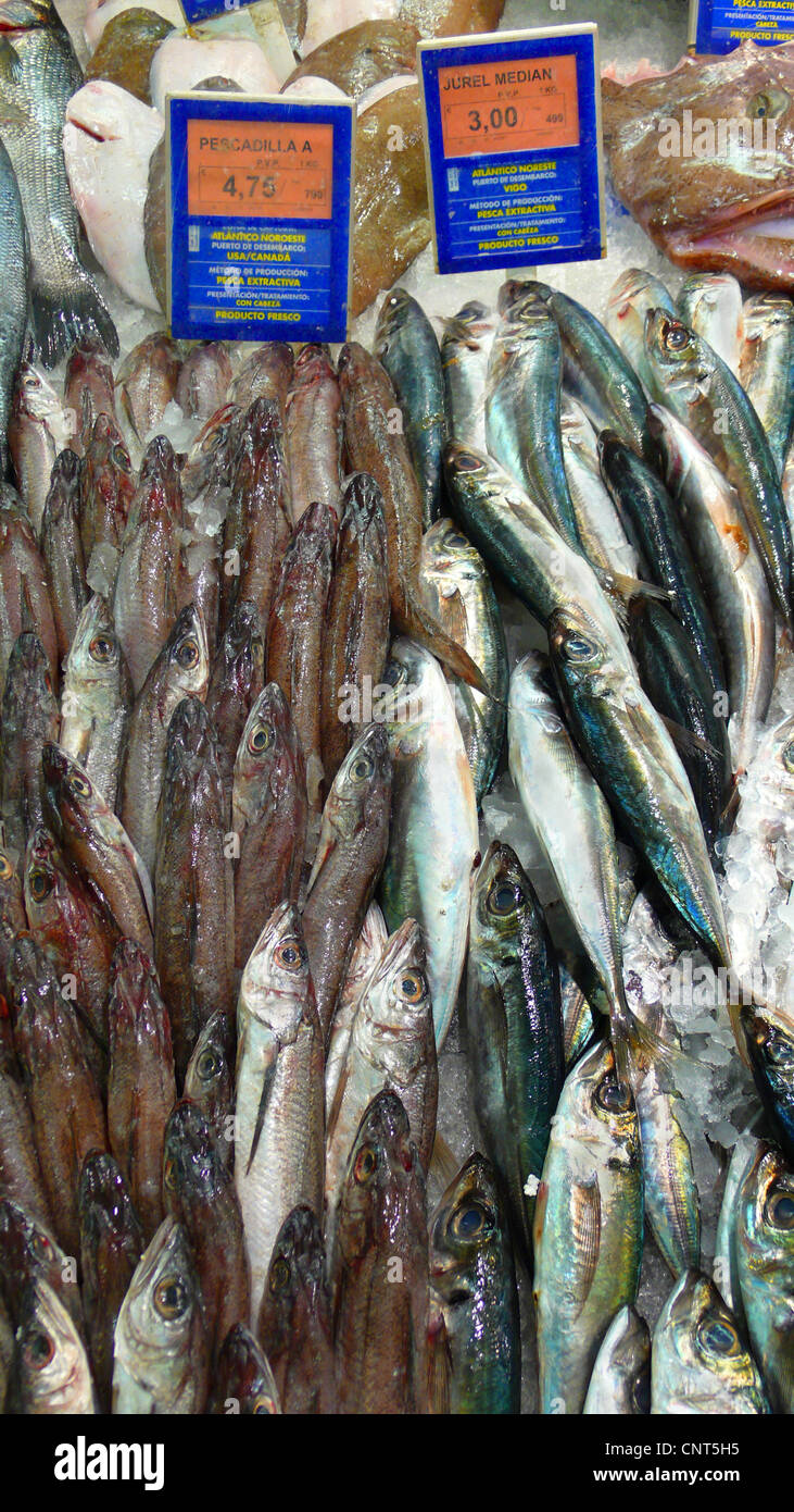 Poissons comestibles de USA sur un marché à Alcudia, Espagne, Baléares, Majorque, Alcudia Banque D'Images