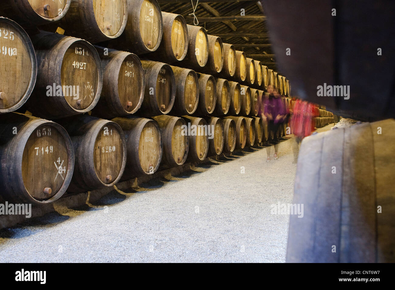 Barils, Taylor's Port Inn, Porto, Portugal Banque D'Images