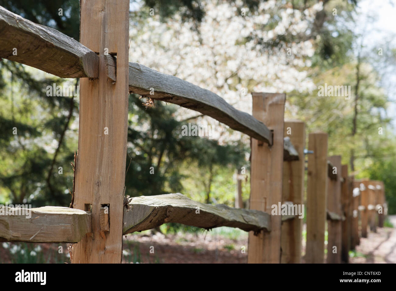 Split clôture ou barrière de journal dans un jardin anglais. UK Banque D'Images