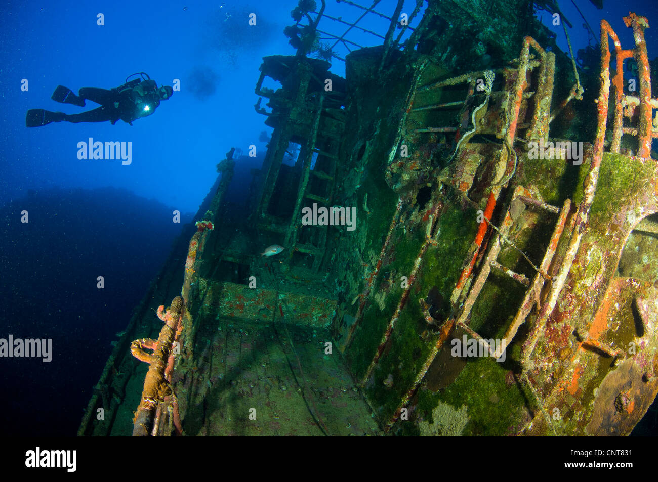 Un plongeur explore l'épave du Soltai 61 qui se trouve coincé à la verticale contre un récif, Îles Salomon. Banque D'Images