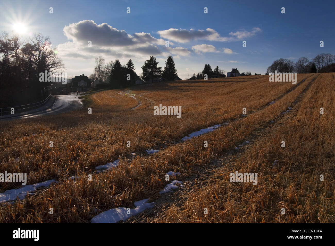 Aube sur paysage d'hiver , Allemagne, Saxe, Vogtlaendische Schweiz Banque D'Images