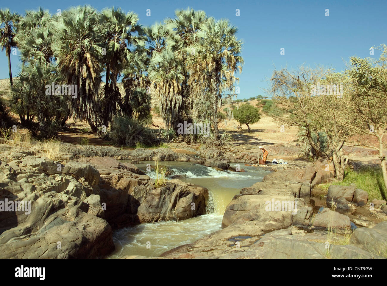 Kunenen Epupa-Falls à la rivière, une femme lave, Namibie Banque D'Images