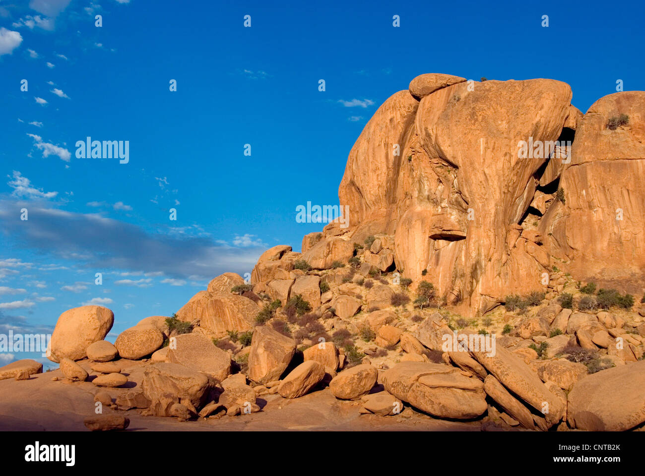 La tête de l'éléphant dans la lumière du soir, la Namibie Banque D'Images