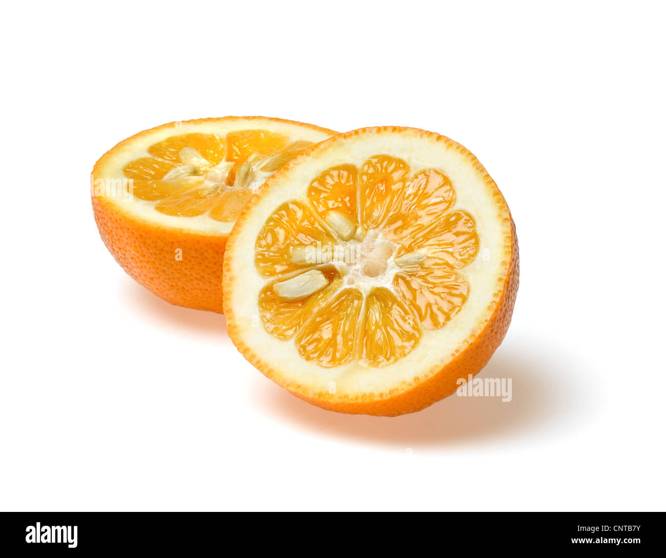 Les oranges de Séville Banque D'Images