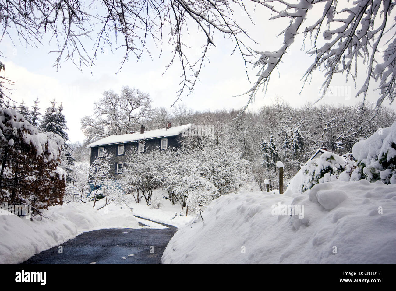Vue vers le haut un lecteur libres de neige à une pension dans un paysage couvert de neige, l'Allemagne, Rhénanie-Palatinat, Hahnhof Banque D'Images