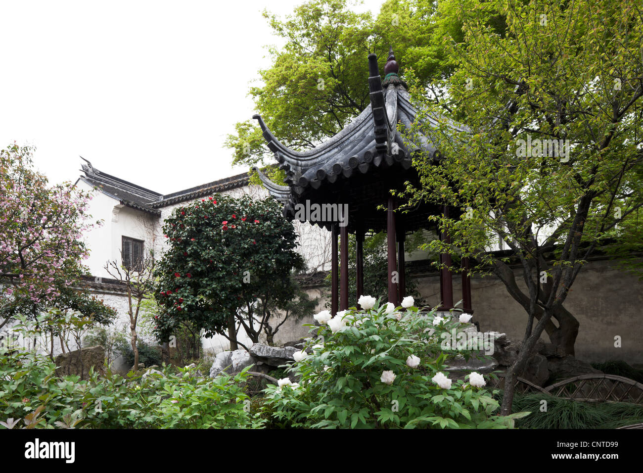 Chine,tourisme,ciel,photographie,Rock,étang,Voyages,la culture chinoise,stone,jardin,arbres,Monument National，， fleurs Banque D'Images