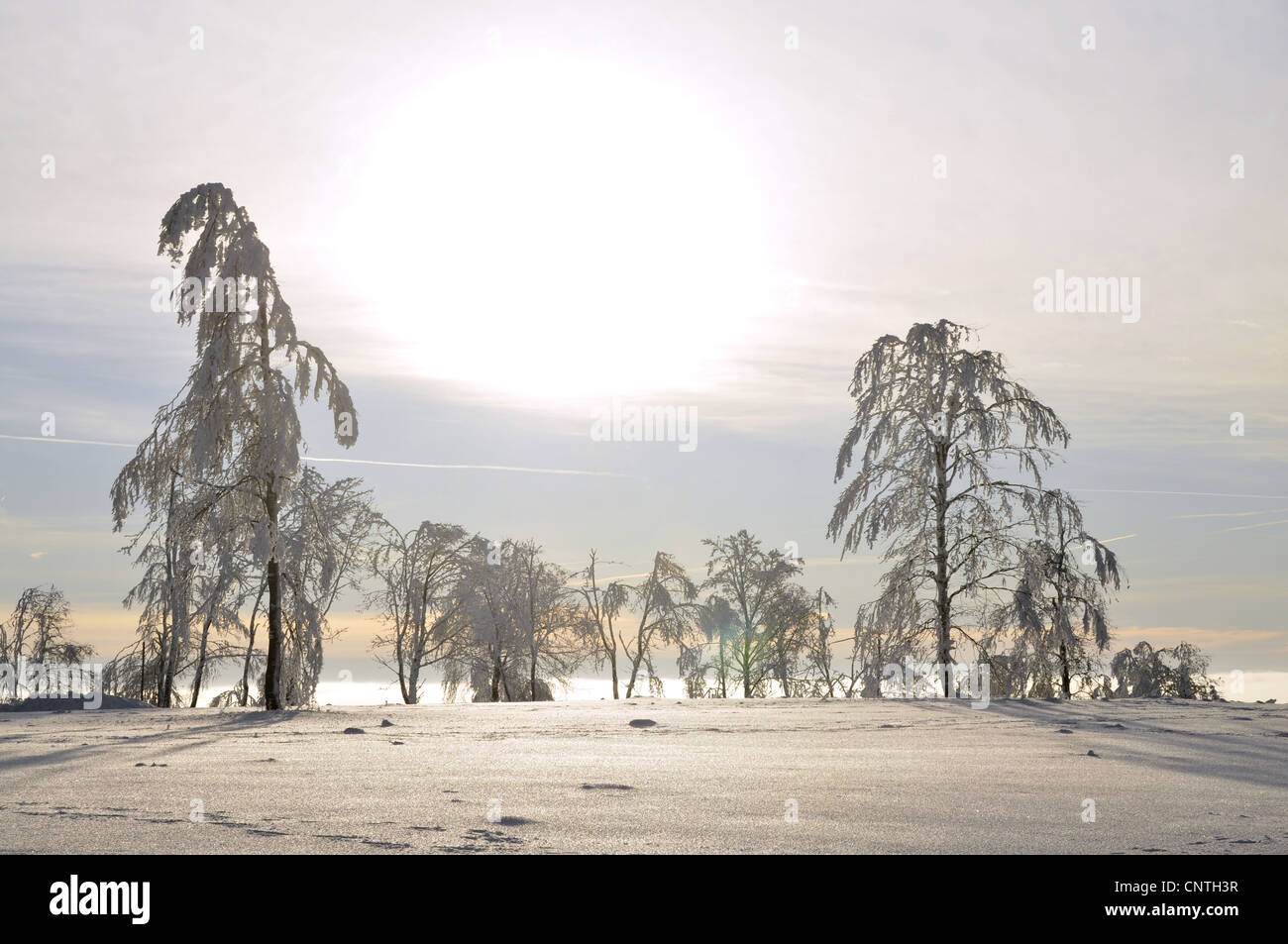 Sun est briser matin brume sur un paysage couvert de neige, l'Allemagne, en Rhénanie du Nord-Westphalie, Haut-sauerland Banque D'Images