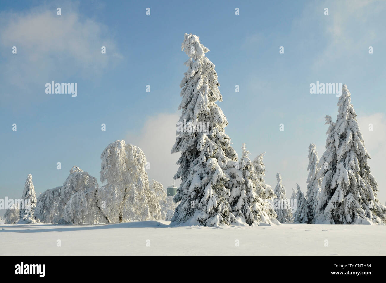 Kahler Asten en hiver, l'Allemagne, en Rhénanie du Nord-Westphalie, Haut-sauerland Banque D'Images