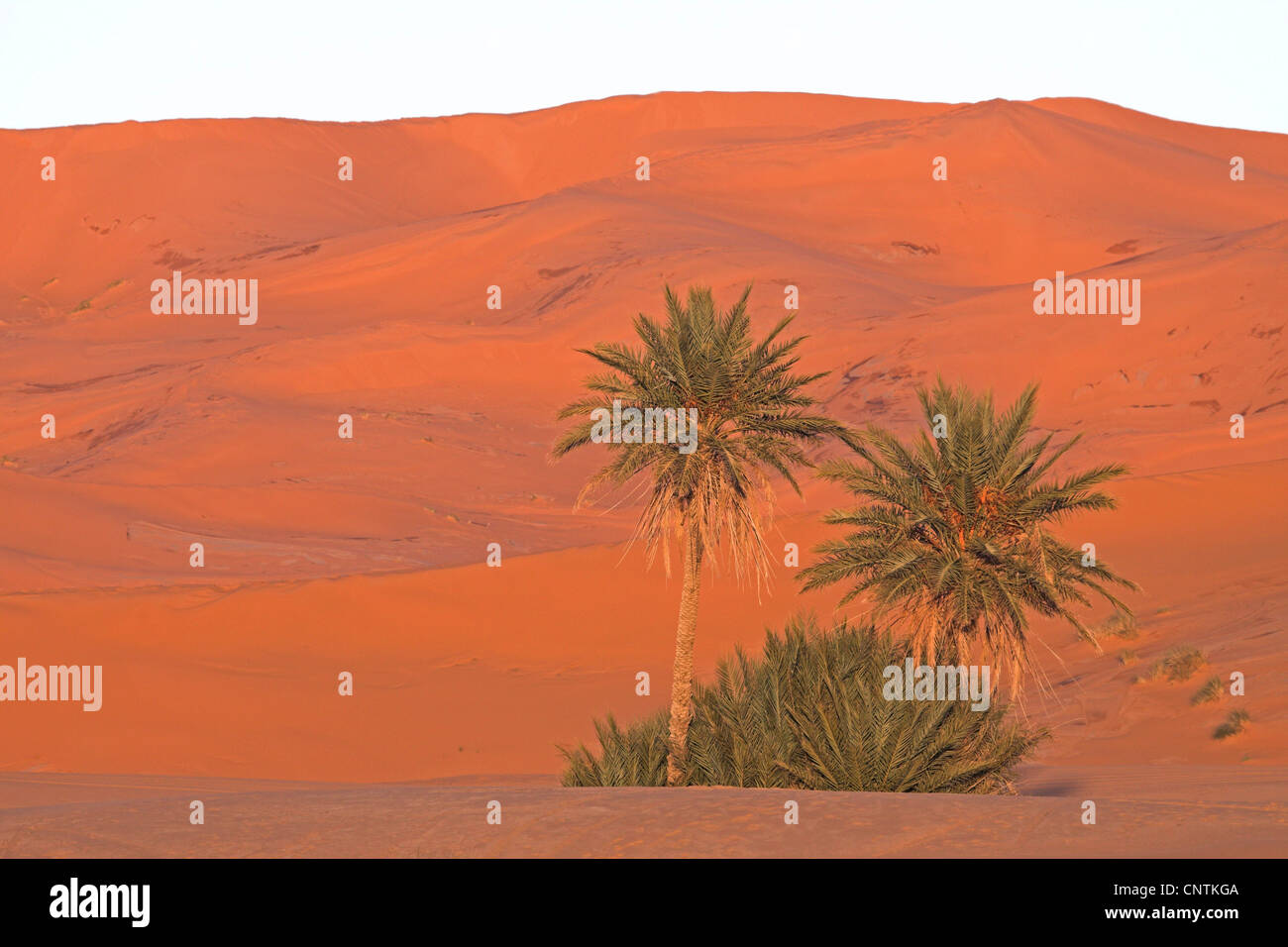 Erg Chebbi, Maroc Banque D'Images