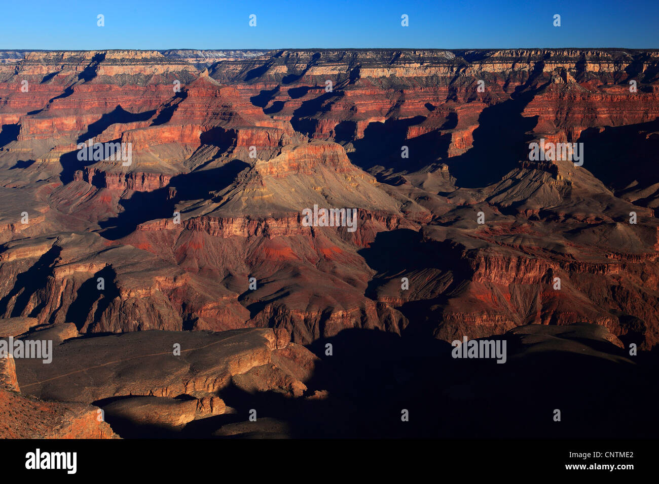 Grand Canyon, Colorado, USA, Arizona, Grand Canyon NP Banque D'Images