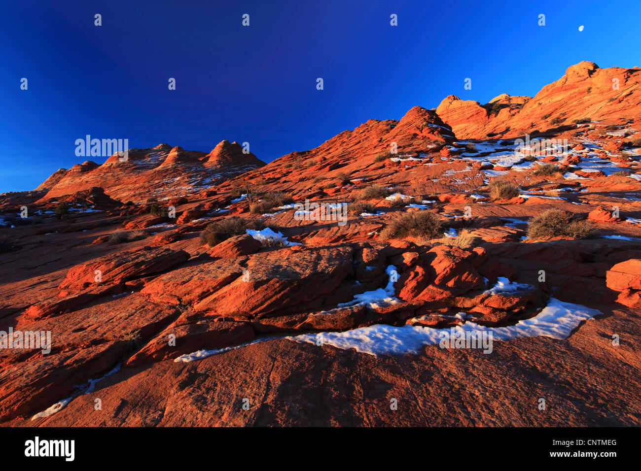 Coyote Buttes North en hiver dans la soirée, USA, Arizona, Coyote Buttes North, Page Banque D'Images