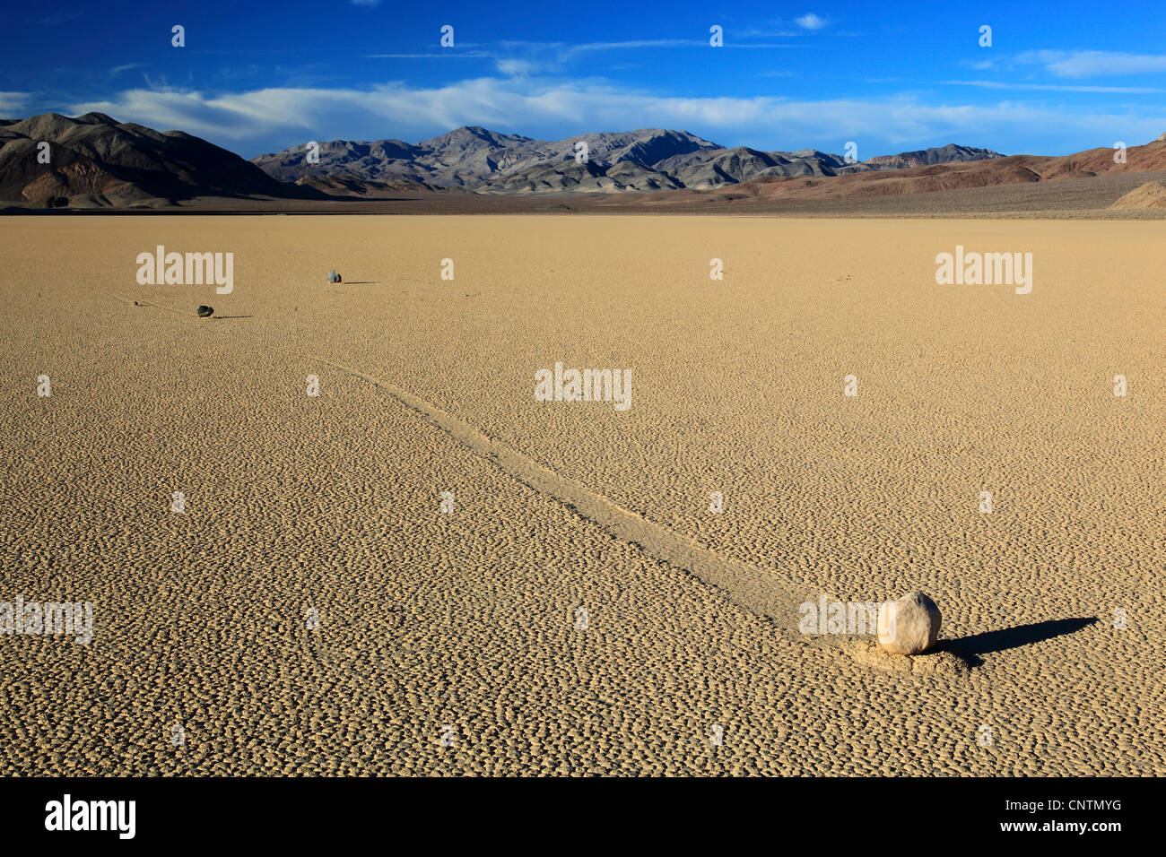 Les roches de Racetrack Playa, USA, Californie, Death Valley National Park Banque D'Images