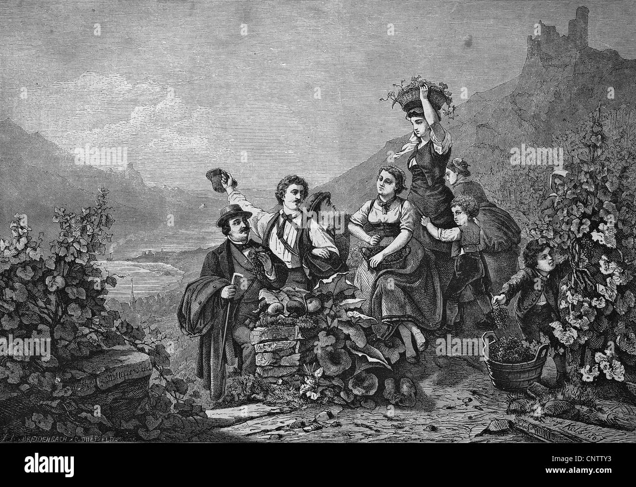 Vendanges sur le Rhin, la gravure historique, 1869 Banque D'Images